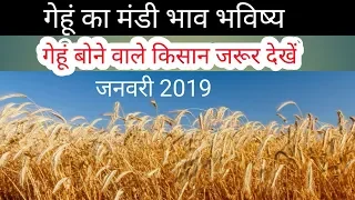 गेहूं का मंडी भाव भविष्य 2019 | gehu mandi bhav bhavishya 2019