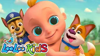 PAW Patrol: The Dino Movie 🦖 + BINGO Song 🐶 | Kids Songs | LooLoo Kids