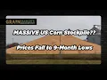 Corn Prices Hit 9-Month Low - Largest US Corn Stocks Since 1988 Expected