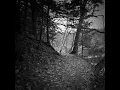 Flowers in the Snow (Instrumental Version)