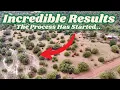 Download Lagu Restoring A Wetland On My Northern Arizona Off-Grid Property - It's Naturally Seeding Itself...