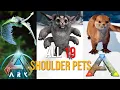 ALL 19 Shoulder Pets In ARK Why You SHOULD Tame Them