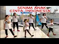 Download Lagu Senam anak cinta indonesia