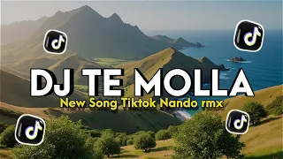 dj te molla new song tiktok nando rmx 