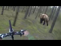 Lagu Bear Attack, Man is trying to run away from attacking Bear: GoPro