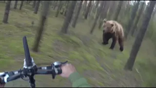 هجوم الدب يحاول الرجل الهروب من مهاجمة الدب GoPro 