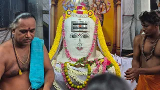 🟢 திருவதிகை அருள்மிகு ஸ்ரீ வீரட்டானேஸ்வரர் ஆலயம் அன்னாபிஷேகம் | பண்ருட்டி | கடலூர் மாவட்டம்