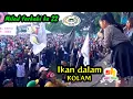 Download Lagu IKAN DALAM KOLAM ~ icha cosma \u0026 vela zaladara - sk group || dalam rangka milad forkabi ke 22