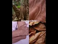 Download Lagu Nature #aesthetic #nature #loveyourself #motivation
