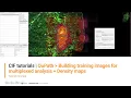 CIF Tutorials QuPath Building training images for multiplexed analysis Density maps