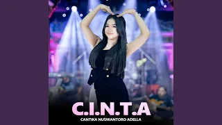 cinta