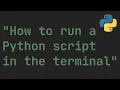 How to run a Python script in the terminal Linux