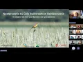 Lagu Lezing: Nestpredatie bij Gele kwikstaart en Veldleeuwerik - Raymond Klaassen