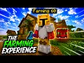 The Hypixel Skyblock Farming Experience