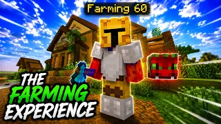 The Hypixel Skyblock Farming Experience