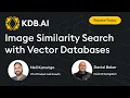 Livestream Image Similarity Search with Vector Databases