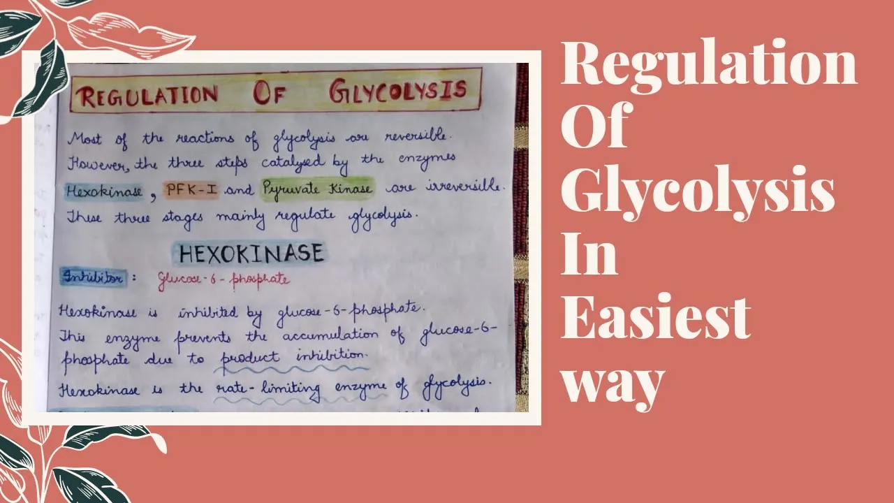 Regulation of GLYCOLYSIS (Hexokinase, PFK and Pyruvate Kinase)