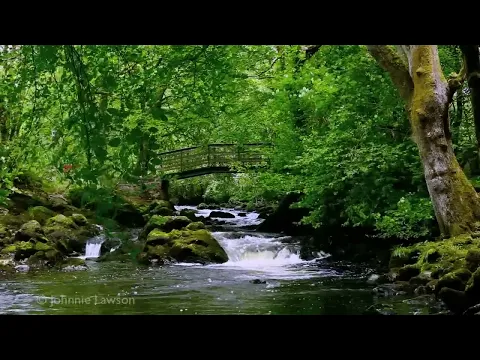 Download MP3 Relaxing Nature Sounds for Sleeping - Natural Calm Forest Waterfall Music Meditation Sound for Study
