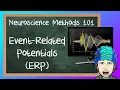 Event-Related Potentials ERP explained Neuroscience Methods 101