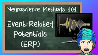 Event-Related Potentials ERP explained Neuroscience Methods 101