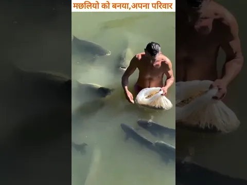 इंसान और मछलियों के बीच ऐसा भरोसा,देखकर दिल पिघल जाएगा!