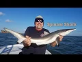 2018 Galveston Bay Fishing Trip