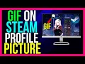 How to Put GIF in Steam Profile Picture 2024 METHOD