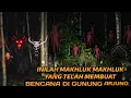 🔴BANTU KAMI SEDULUR.KAMI HAMPIR TIDAK SELAMAT DI GUNUNG ARJUNO 