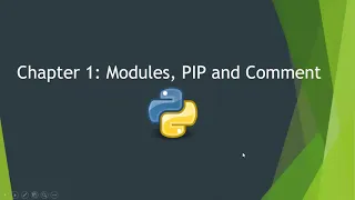 Chapter 1 Modules PIP And Comment