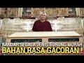 Download Lagu BESAR LENGKAP ! BANDARANYA SEGALA JENIS BURUNG MURAH BAHAN RASA GACORAN DI JAKARTA TIMUR 