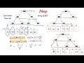 Heap Data Structure Explained Max Heap Min Heap Insertion 2026