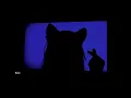 Download Lagu Years \u0026 Years - Breathe (slowed + reverb) What's that supposed to be about baby