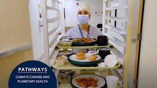 Toward greener healthier hospital menus Transforming hospital food systems Planetary health