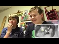 Try Not To Laugh Challenge! Bird Edition. W/Tristan