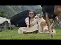Download Lagu Relaxing Slow Living Retreat | Fire Cooked Jam, Bread \u0026 Moka Pot Coffee in the Venezuelan Andes
