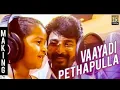 Vaayadi Petha Pulla Song Quality Kanaa