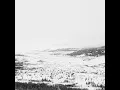 Hundrede Træer (Analogue Dear Rework)