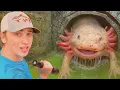 Download Lagu Encontré AXOLOTLES en un túnel OCULTO!