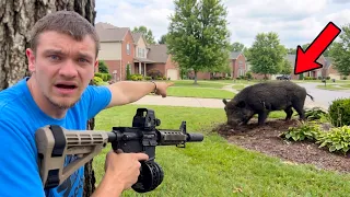 Hunting Down the 250lb Hog Destroying Florida Neighborhoods!