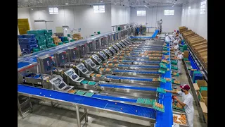 Classificadora de Ovos CHSL-180.000 com embaladoras C-3.0