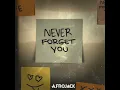 Never Forget You - AFROJACK