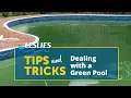 Leslie s Tips Dealing with a Green Pool Leslie s
