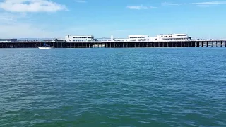 Wharf dolphin
