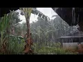 Download Lagu Hujan Lebat dan Angin Kencang Bikin Suasana Nyaman untuk Iatirahat | Relaksasi Hujan Deras