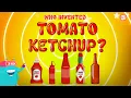 Download Lagu Invention of Ketchup | The Thick and Tangy History of Ketchup | Origins of Ketchup | Dr. Binocs Show