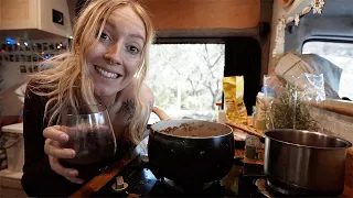 What Christmas is REALLY Like in a 60ft² Camper Van (Our First Time!)
