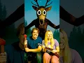 Download Lagu 99 Nachten in het Bos IN HET ECHTE LEVEN 🌲