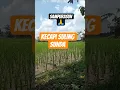 Lagu kecapi suling sunda merdu, kecapi suling sunda