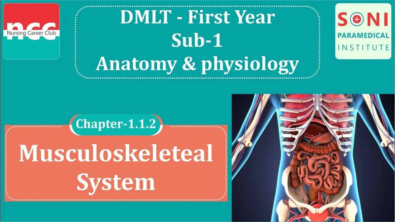 DMLT 1.1.2 – Musculoskeletal System