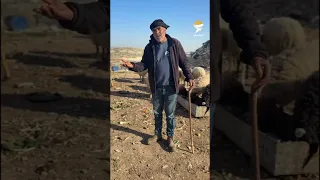 تجمع اليطاطوة وبدو شرق عناتا هدفاً لهجمات واعتداءات المستوطنين